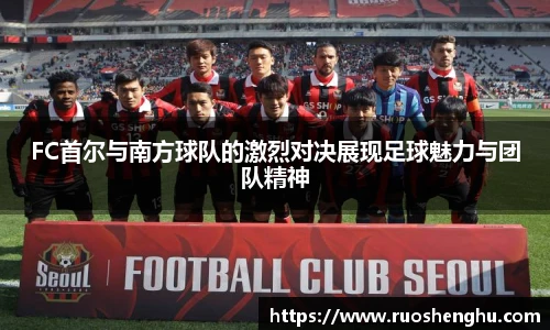FC首尔与南方球队的激烈对决展现足球魅力与团队精神